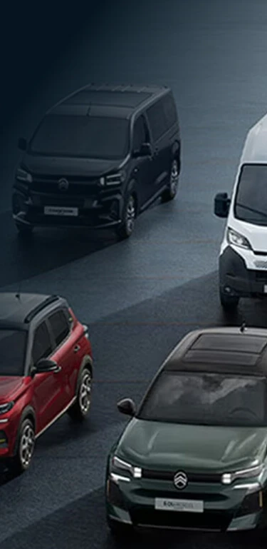 New Citroen Range